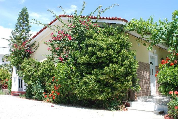 טסיליבי Manao Summer House מראה חיצוני תמונה