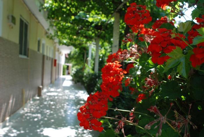 טסיליבי Manao Summer House מראה חיצוני תמונה
